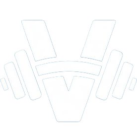 vZali logo